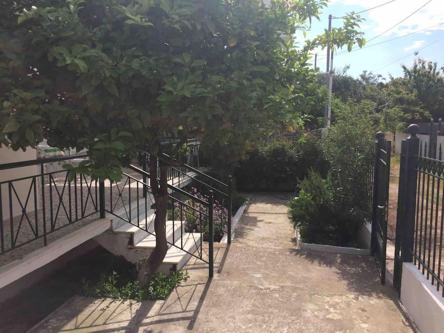 Charming 2 Mins Walk To Agios Spyridon (Spata-Artemida)